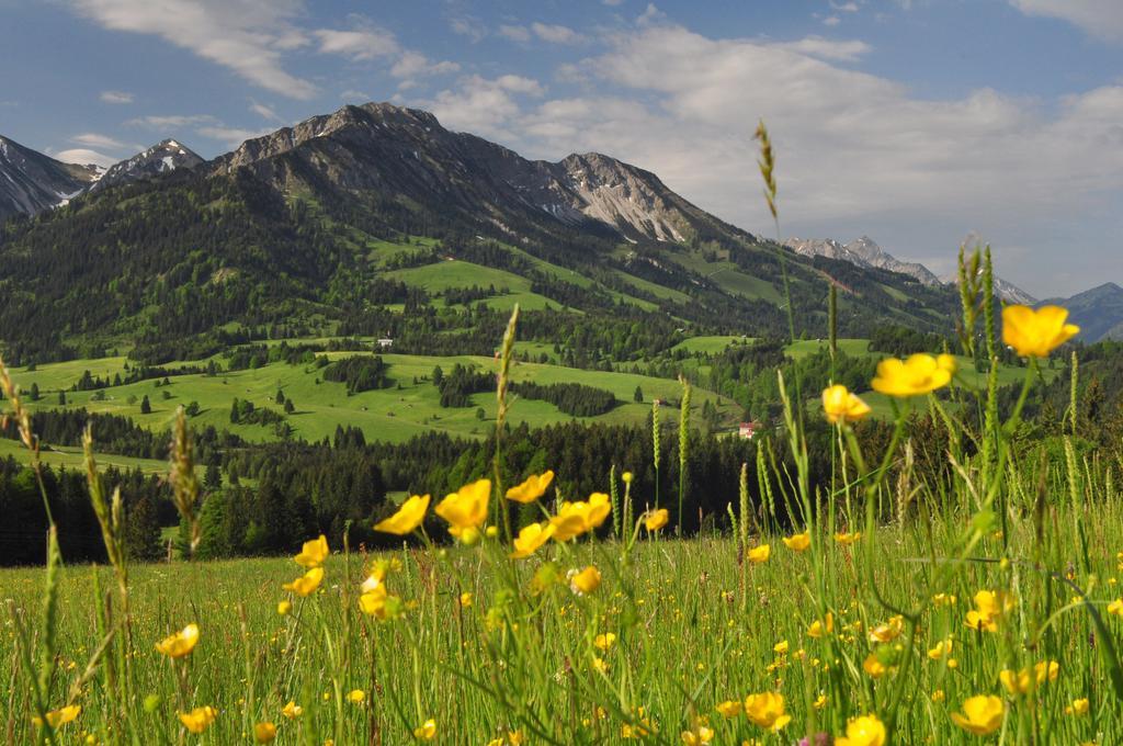 Sonnenpark, Ihr Bett Im Allgaeu Бад-Хинделанг Экстерьер фото