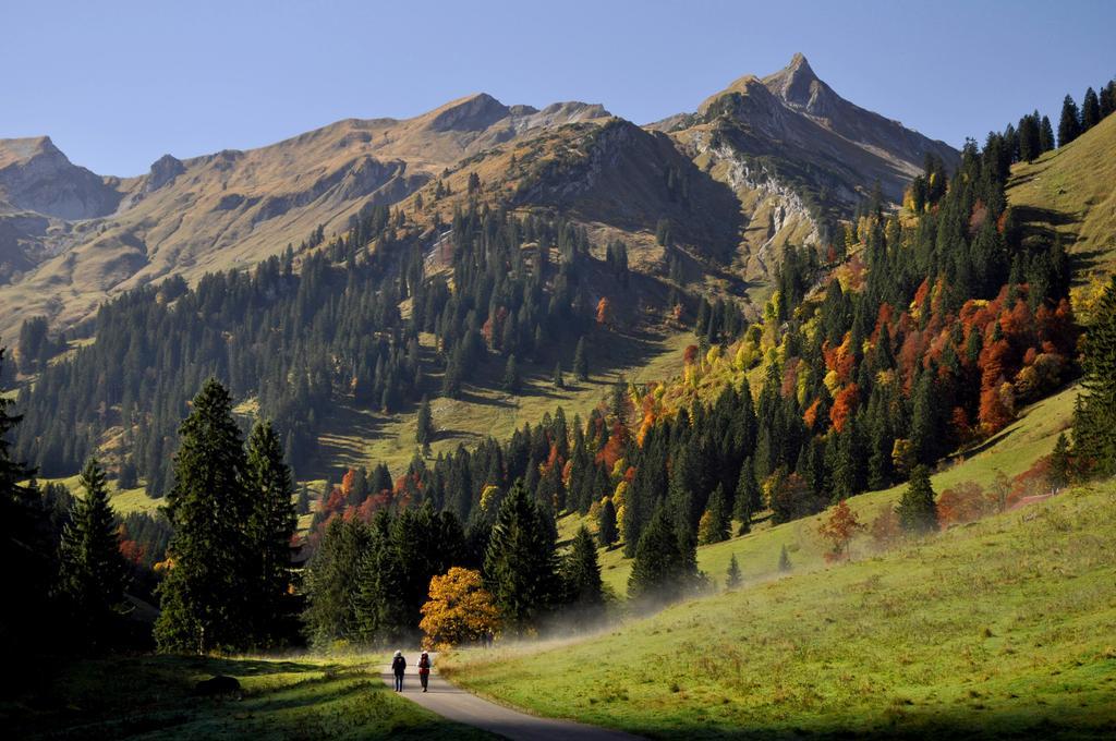 Апартаменты Sonnenpark, Ihr Bett Im Allgaeu Бад-Хинделанг Экстерьер фото