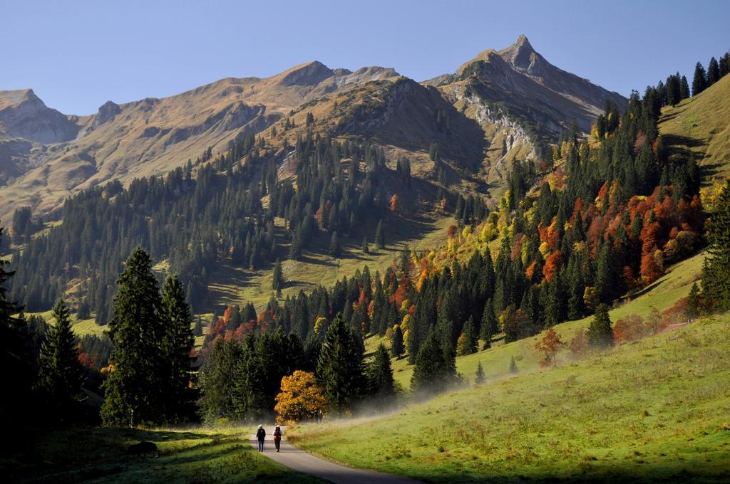 Sonnenpark, Ihr Bett Im Allgaeu Бад-Хинделанг Экстерьер фото